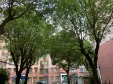 近地铁 精装,无抵押,中间楼层 新上房源