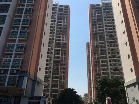 东峰广场实景图