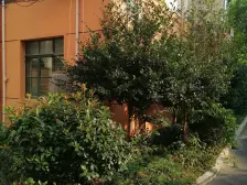 近地铁,随时看房,产权清晰 无抵押,新上房源