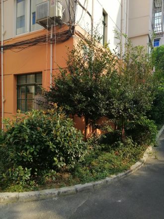 成山路648弄小区实景图