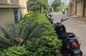 未来小区实景图
