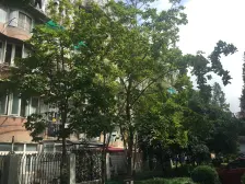 近地铁 刚需上车,电梯房 急售房源