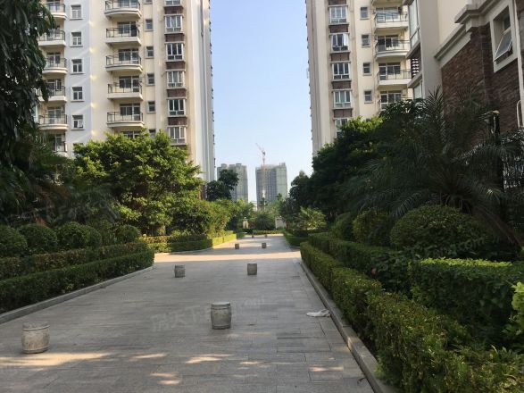 北艺·橄榄苑商住楼实景图