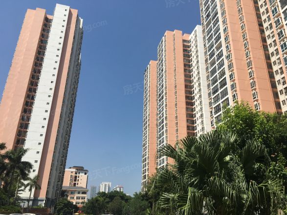 东峰广场实景图