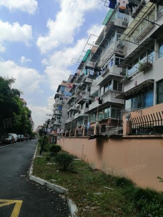 成山路648弄小区实景图