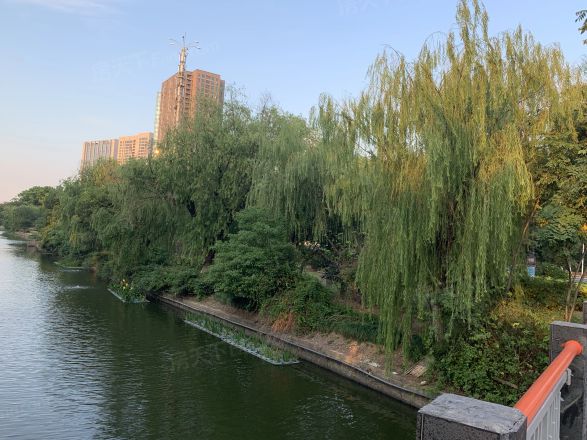 半岛名邸实景图