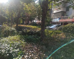 省总工会单位房,纯板楼小洋楼,低密度宜居