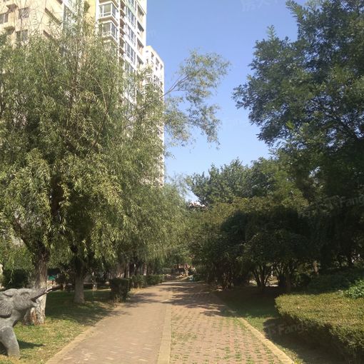  ��㶫��ٳ��1��1��1���ϳ���1600.00Ԫ/�³��� 