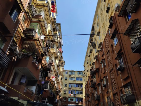 爱国路236号实景图