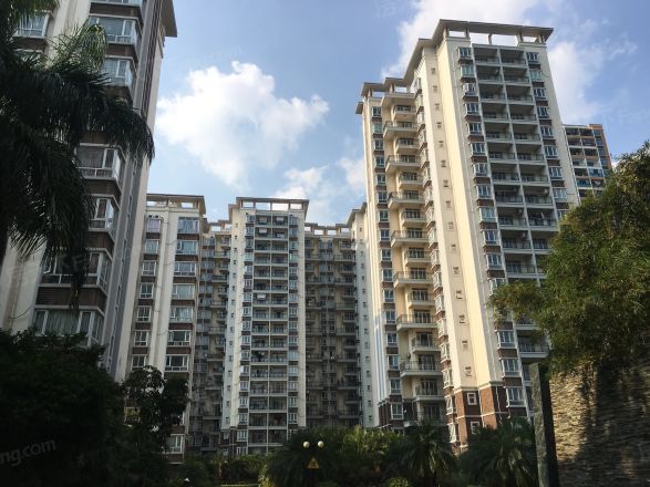 北艺·橄榄苑商住楼实景图