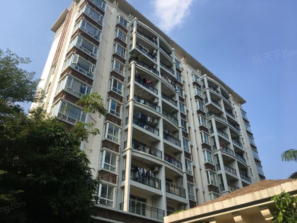 北艺·橄榄苑商住楼实景图
