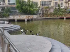 精装 挑空大复式 电梯小洋房 可拎包入住