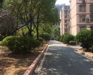 晚报商圈晚报宿舍精装3房户型通透楼层好采光好