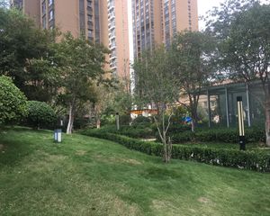 金晨嘉园三房,人车分流,采光好,视野好,满五唯一。