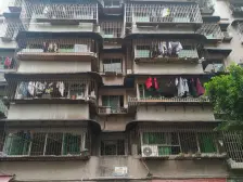 兰花五小区 1室1厅 南