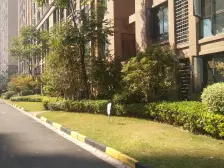 吾悦公馆 端户 采光好 楼层好 户型端正