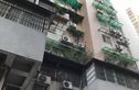 金荔阁实景图