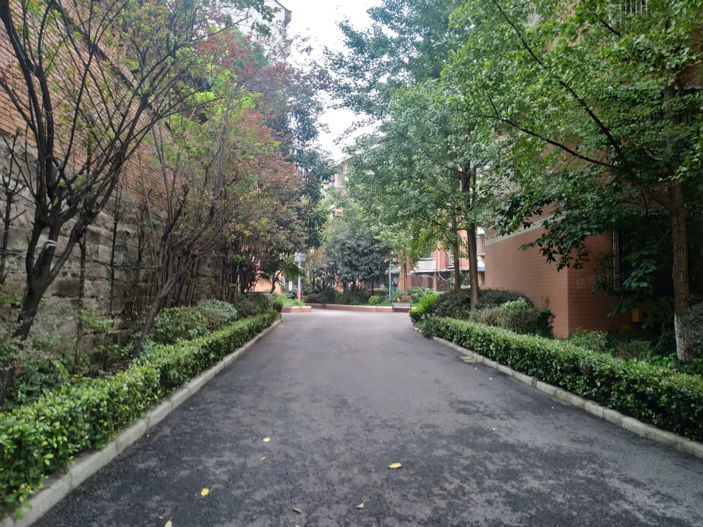 兰花七小区实景图