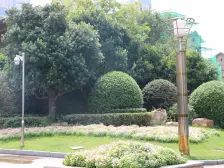 九华奥园 冠 军城 双书包房 和平 江声 房东亏本20万