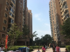 金晨嘉园 4室2厅 南 北