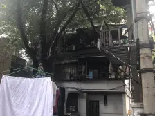 大坪 大坪支路一房