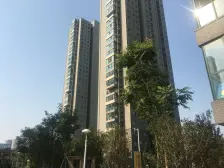 2016年小区拎包入住,楼下经开区图书馆,经开一幼,85