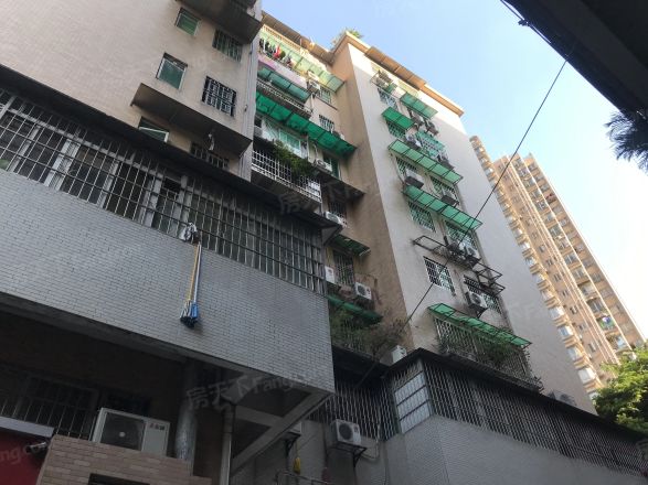 金荔阁实景图