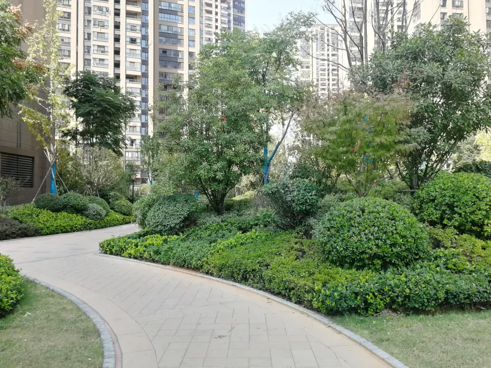 实景图