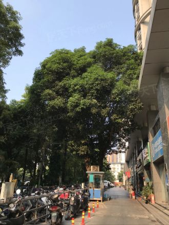 云星钱隆天下北区实景图