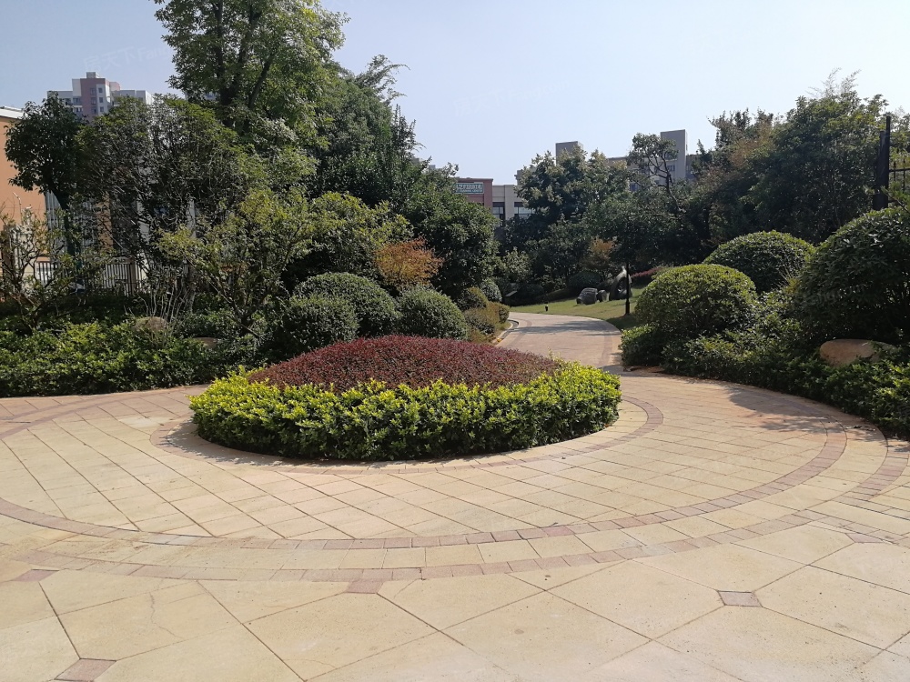 实景图