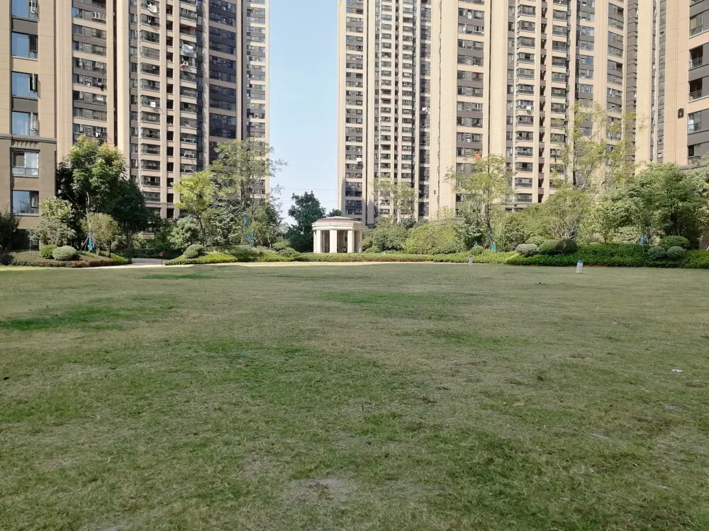 实景图