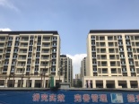 在建工地实景图