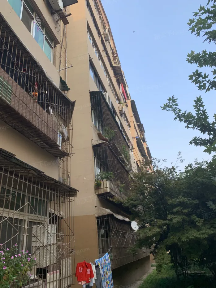 东方社区104街坊