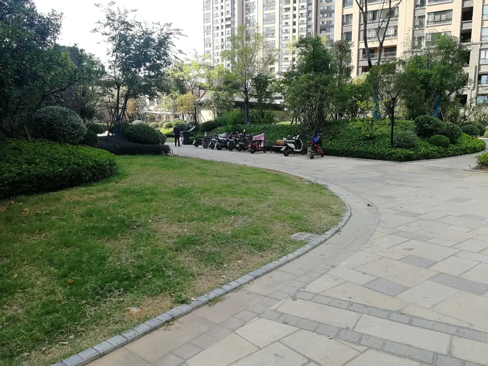 实景图