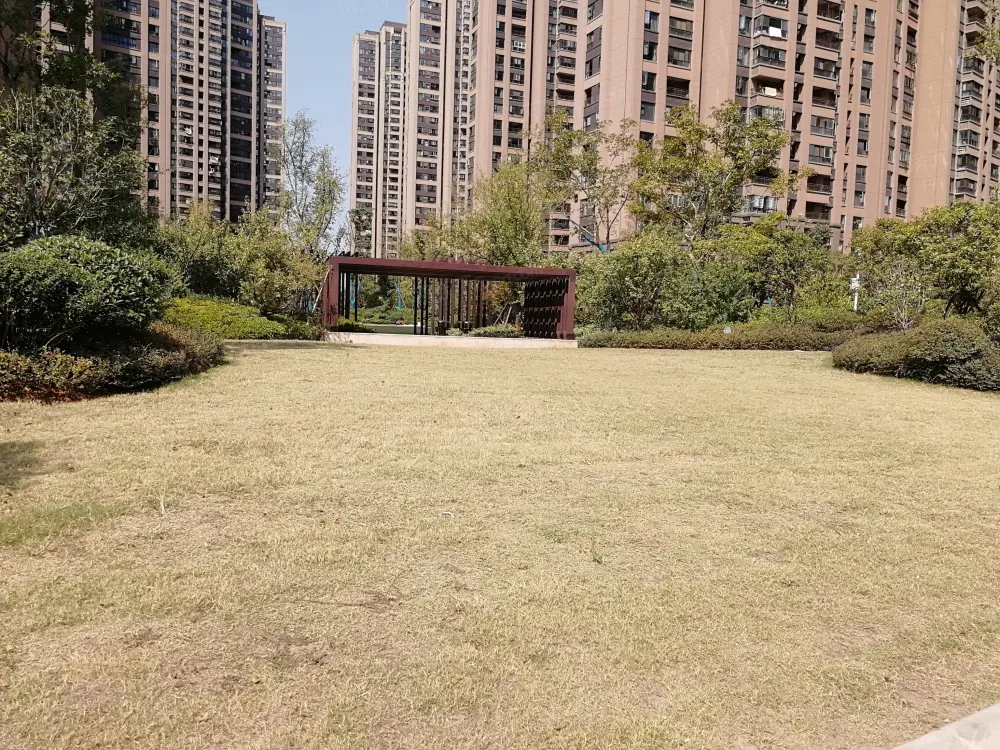 实景图