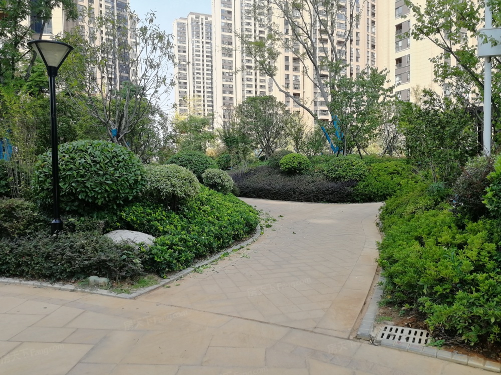 实景图