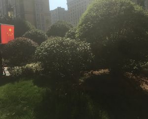 万达公馆3室2厅南