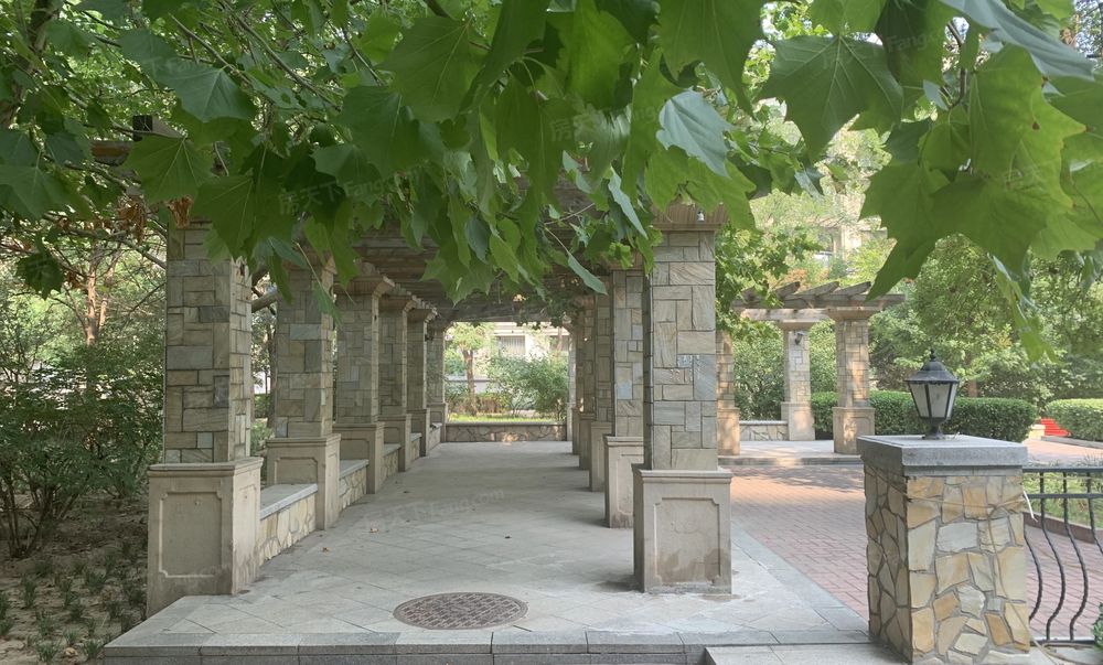 丽都水岸 临河高层南北三居 远观国贸城市景观 北向观小区园林