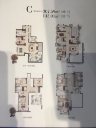 同润玫瑰园4室2厅1厨4卫建面307.59㎡