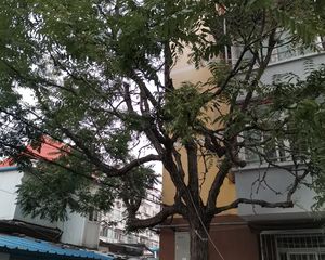 木樨园·南三环中路61号院·2室·1厅