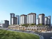 麒龙金海美域