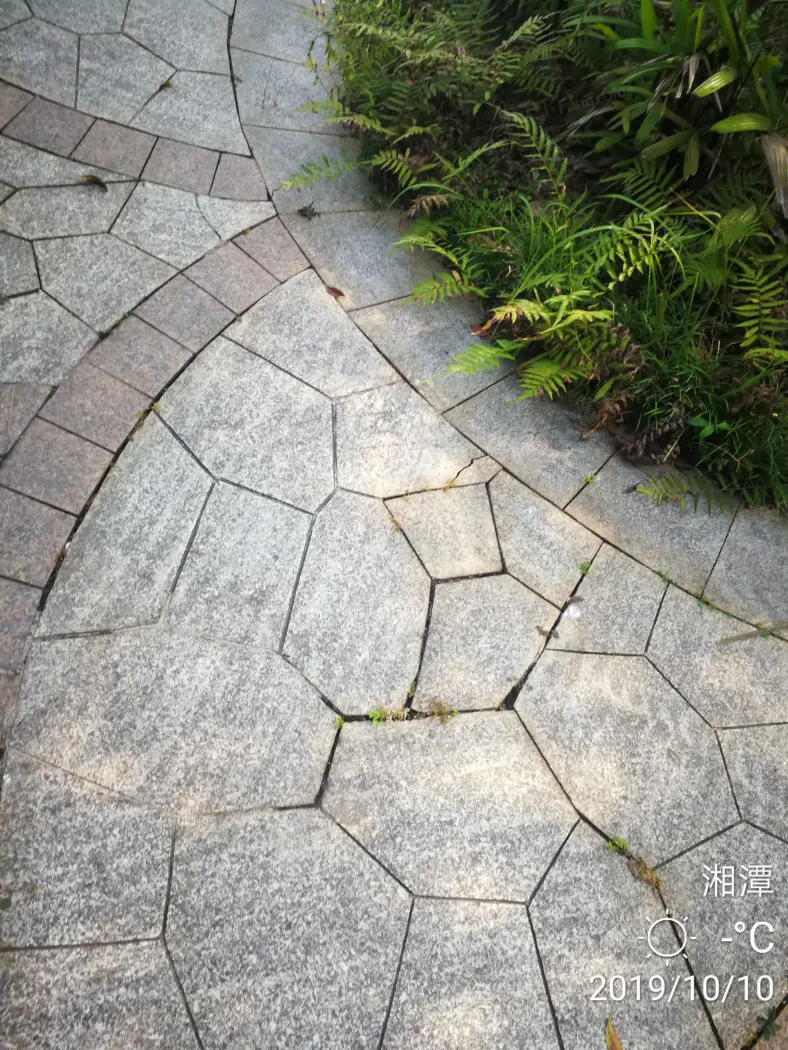 实景图
