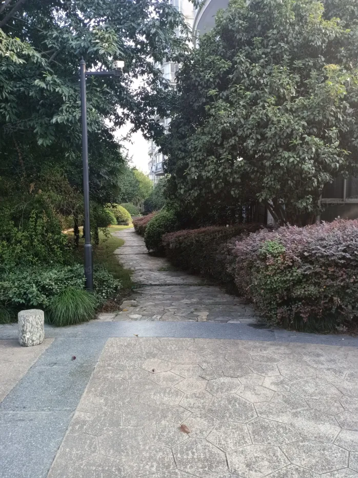 天阳棕榈湾一期