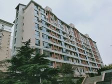 齐化家园好楼层位置好红梅开七