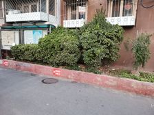 三环内费用少电梯南向2居阳光好