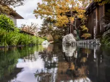 次新房+人车分流+精装修+电梯中高区+看房提前约