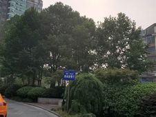 家景园电梯房交通便利大阳台采光好