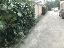 五号线江川路地铁,全明户型,中间楼层