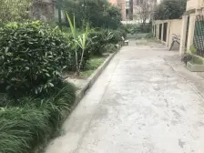 南忘老闵行江景房,边套好房子。。。