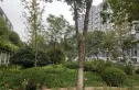梅花庄小区实景图